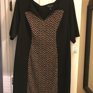 Black and camel dress, knee-length